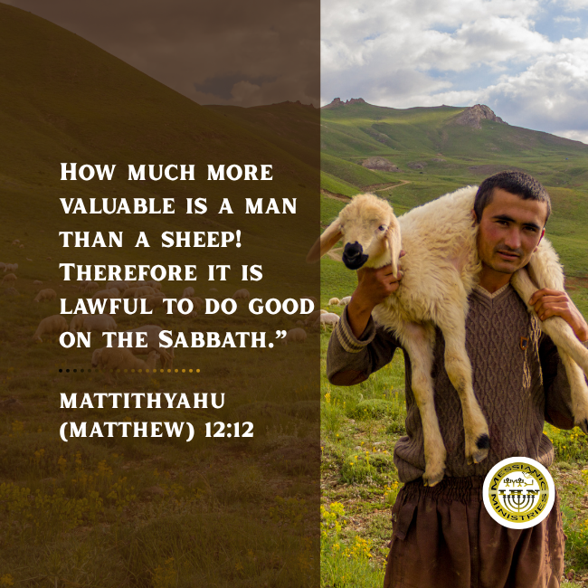 Mattithyahu (Matthew) 12:12