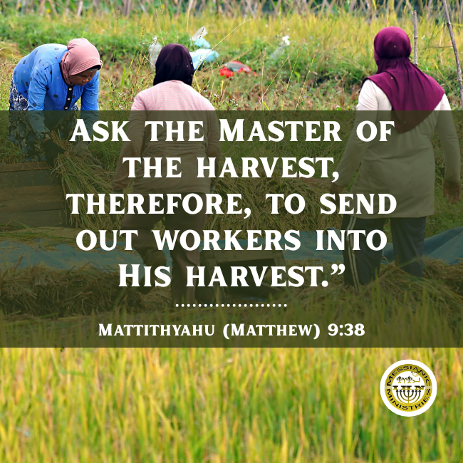 Mattithyahu (Matthew) 9:38