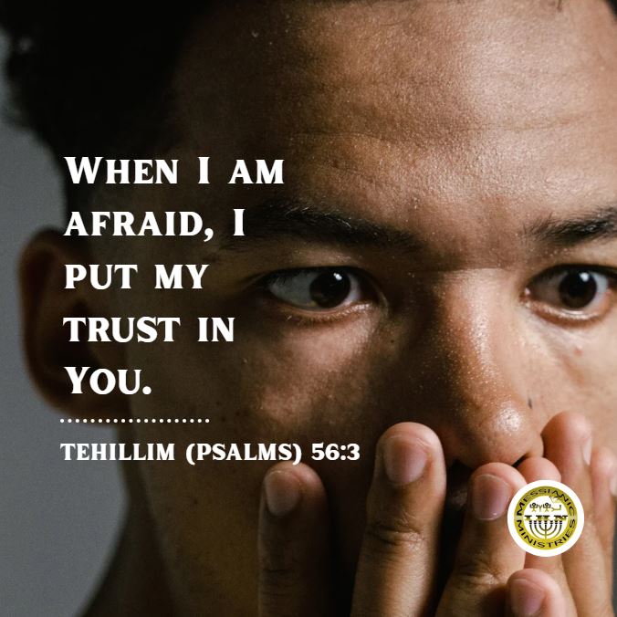 Tehillim (Psalms) 56:3