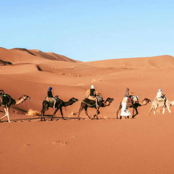 Parashah #9 Vayeishev – and he settled