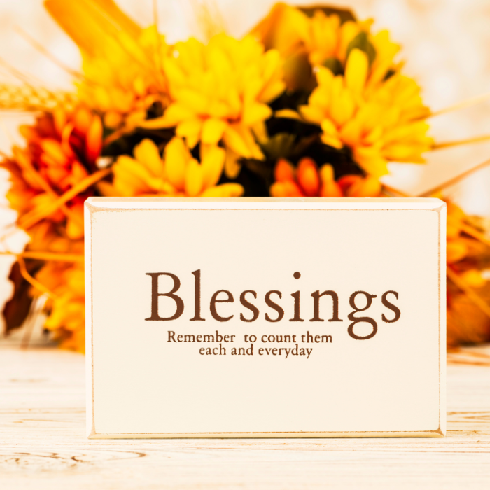 Parashah #12 Vay’chi – and he lived