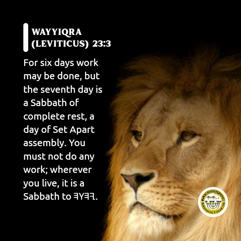 Wayyiqra (Leviticus) 23:3