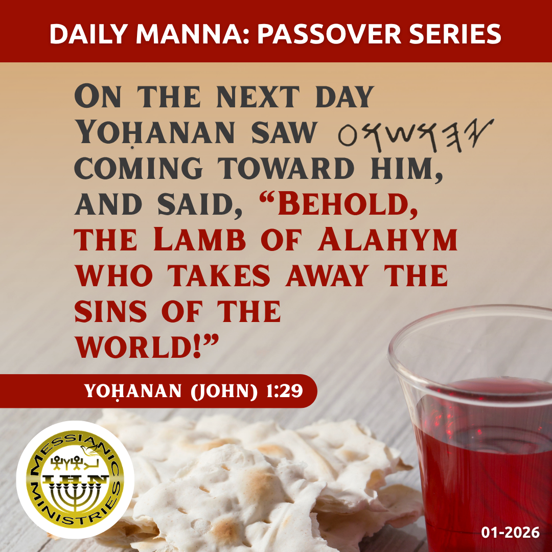 Yoḥanan (John) 1:29
