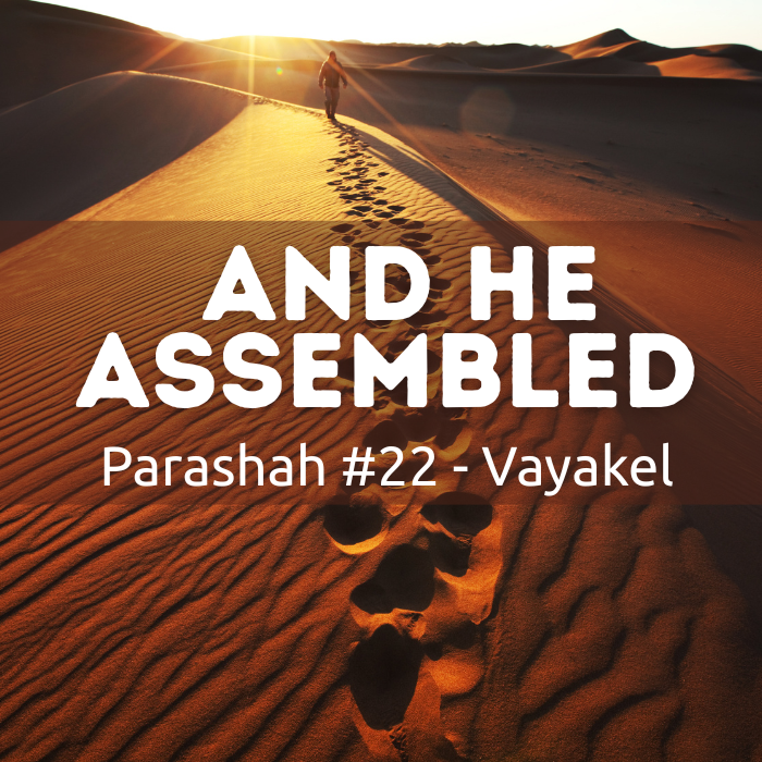 Parashah #22 Vayakel – and he assembled
