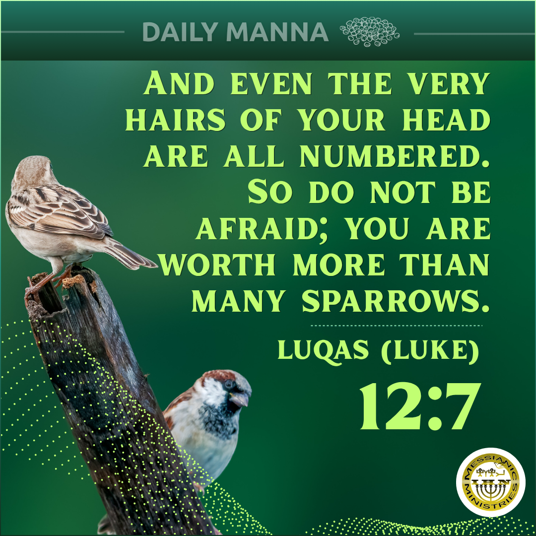 Luqas (Luke) 12:7