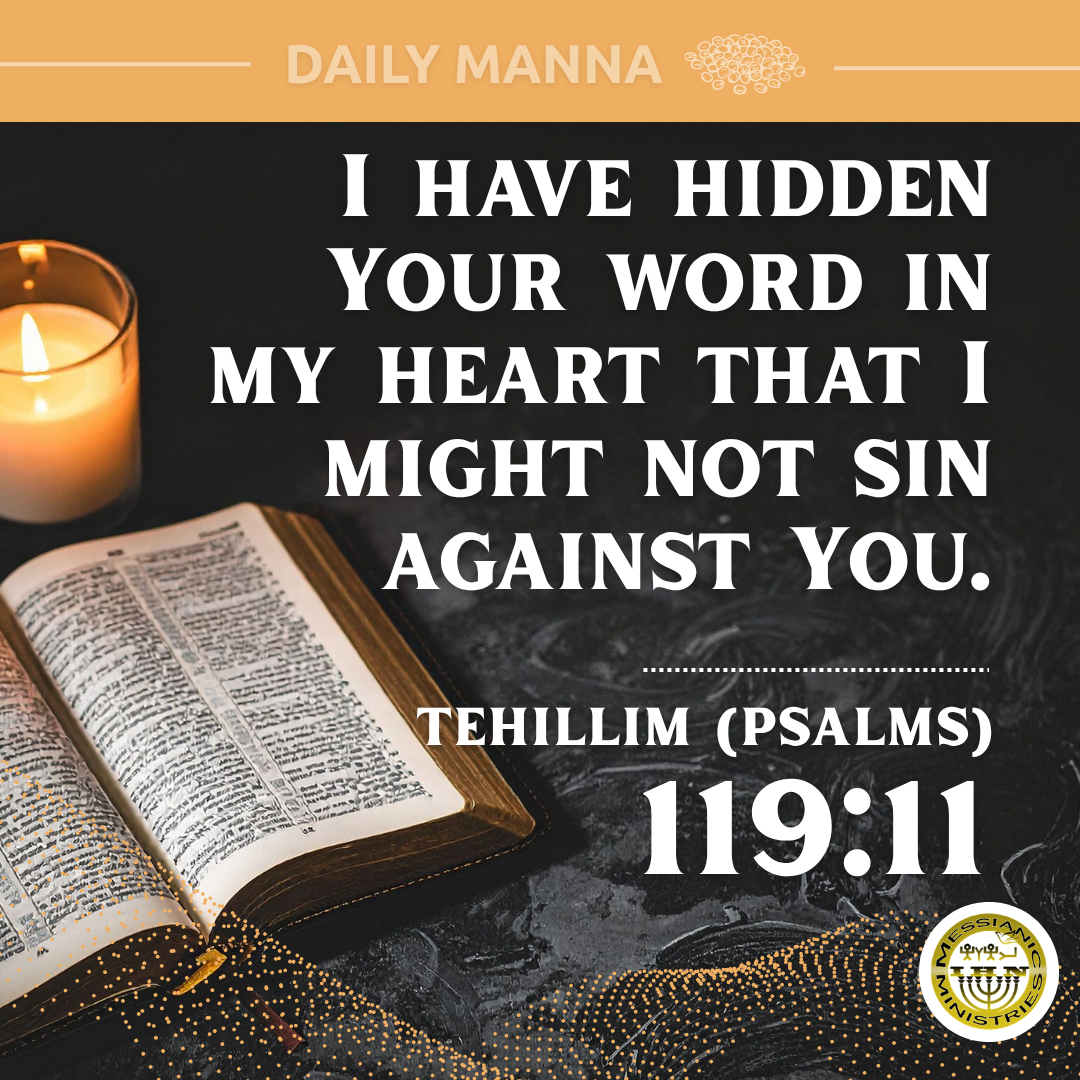 Tehillim (Psalms) 119:11
