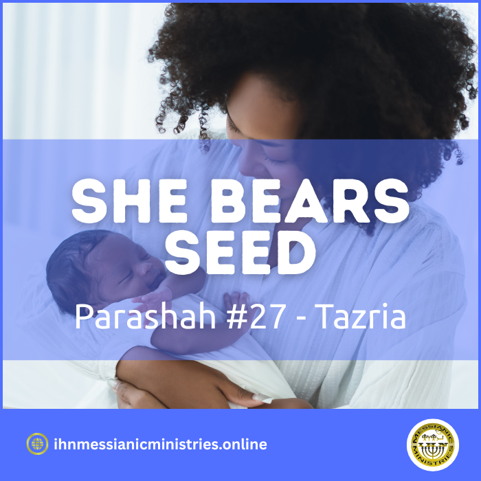 Parashah #27 Tazria – she bears seed