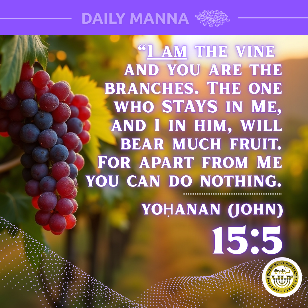 Yoḥanan (John) 15:5