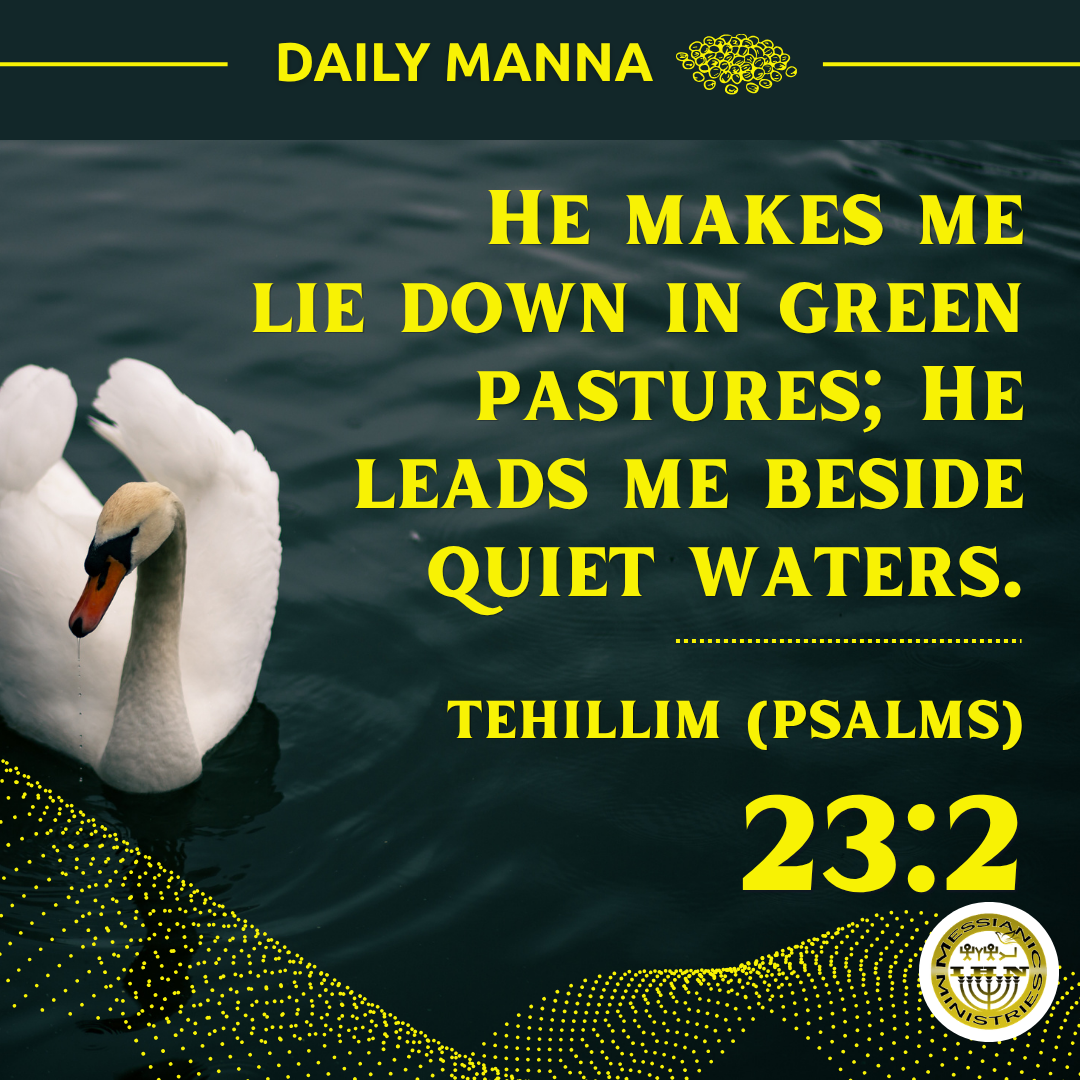 Tehillim (Psalms) 23:2