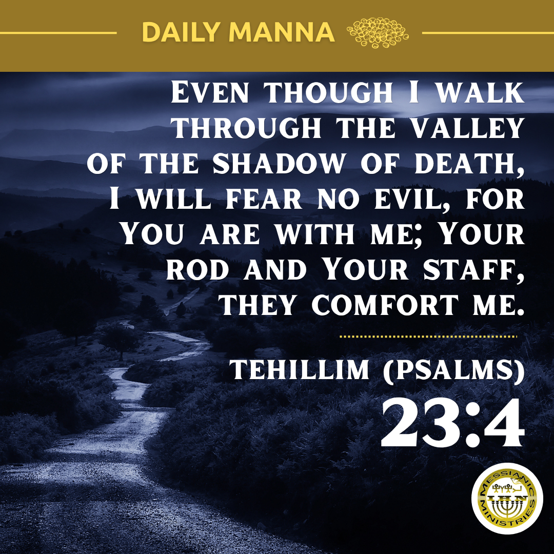 Tehillim (Psalms) 23:4