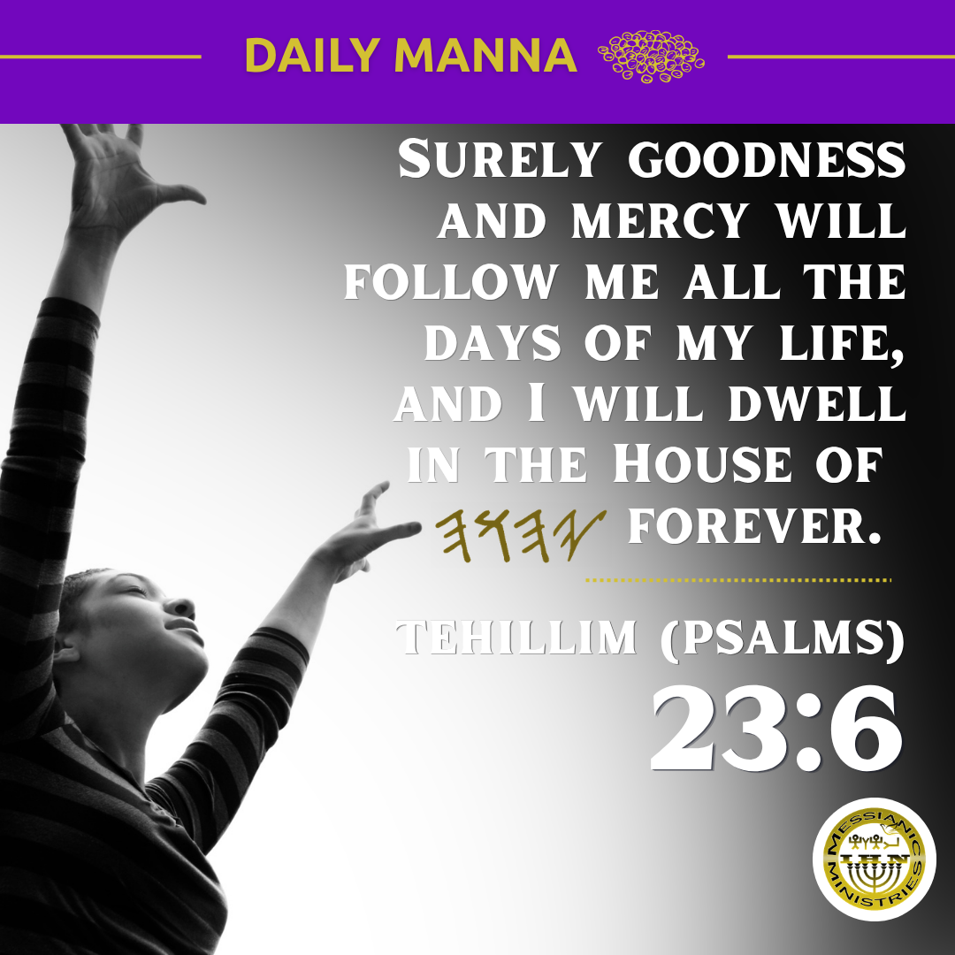 Tehillim (Psalms) 23:6