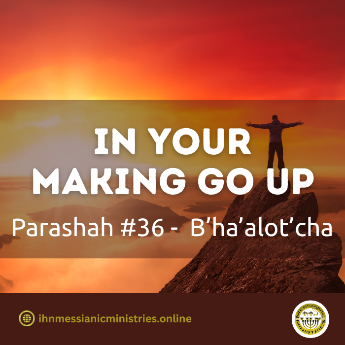 Parashah #36 . B’ha’alot’cha – in your making go up