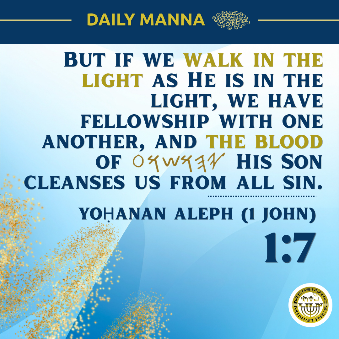 Yoḥanan Aleph (1 John) 1:7