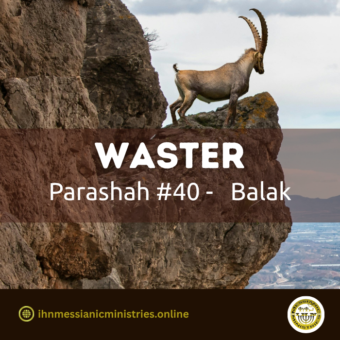 Parashah #40 . Balak – Waster